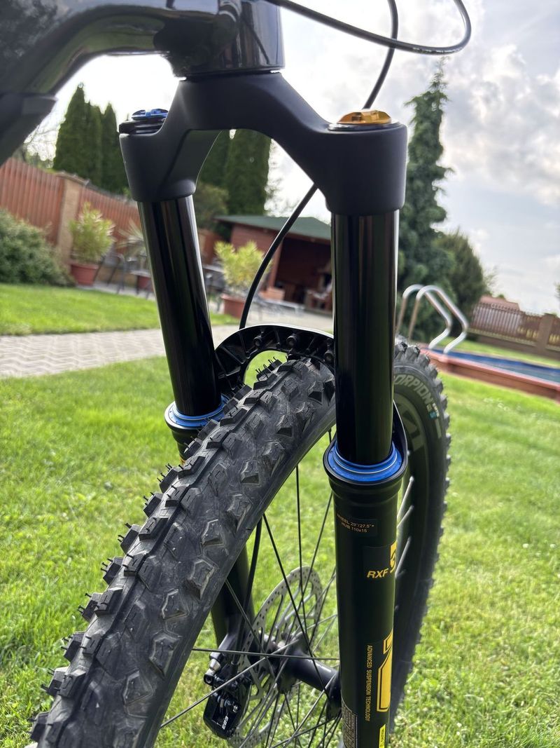 Intense Tazer Mx