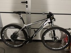 Cannondale F29