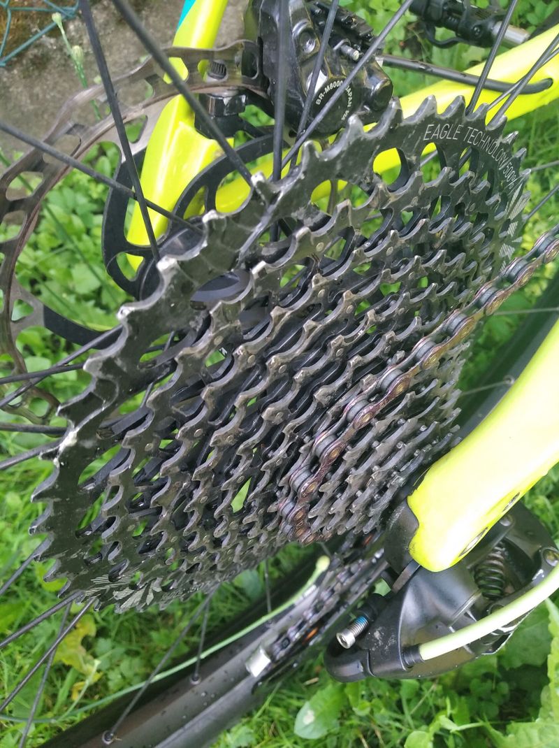 Orbea Alma M30 Carbon L-/Fox/Sram GX Eagle/DT Swiss/