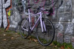 Superior road elite
