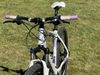 Scott Scale 30 Contessa