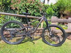 specialized enduro expert S2