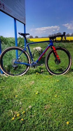 Specialized Crux vel.54