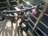 NOVY(0km)29" SCAPIN-GEKO CARBON XT