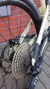 Canyon Torque 5 Mullet 2025