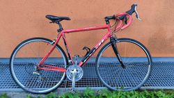 Fuji Newest 1.0