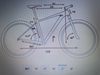 Cube Reaction C:62 Race / Shimano XT 1x12 / vel.XL 