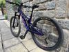 Rocky Mountain Reaper 24" + 26"