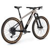 Focus Raven 8.9 DI 29" horské kolo Silver Glossy / Carbon Raw Glossy