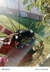 GT Force Comp