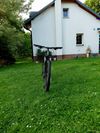 Orbea mx 50