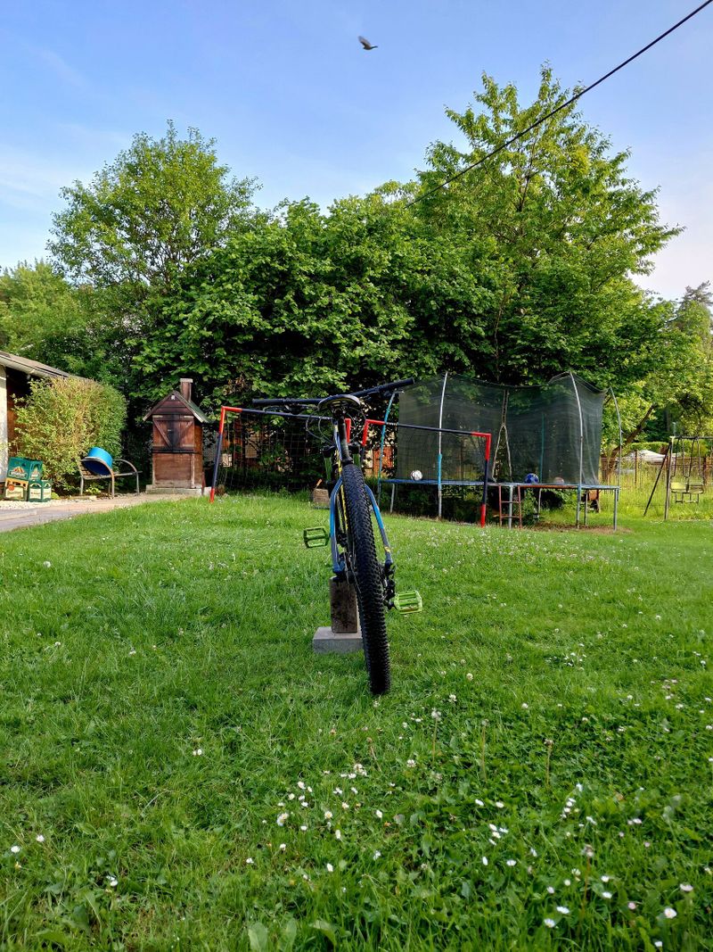 Orbea mx 50