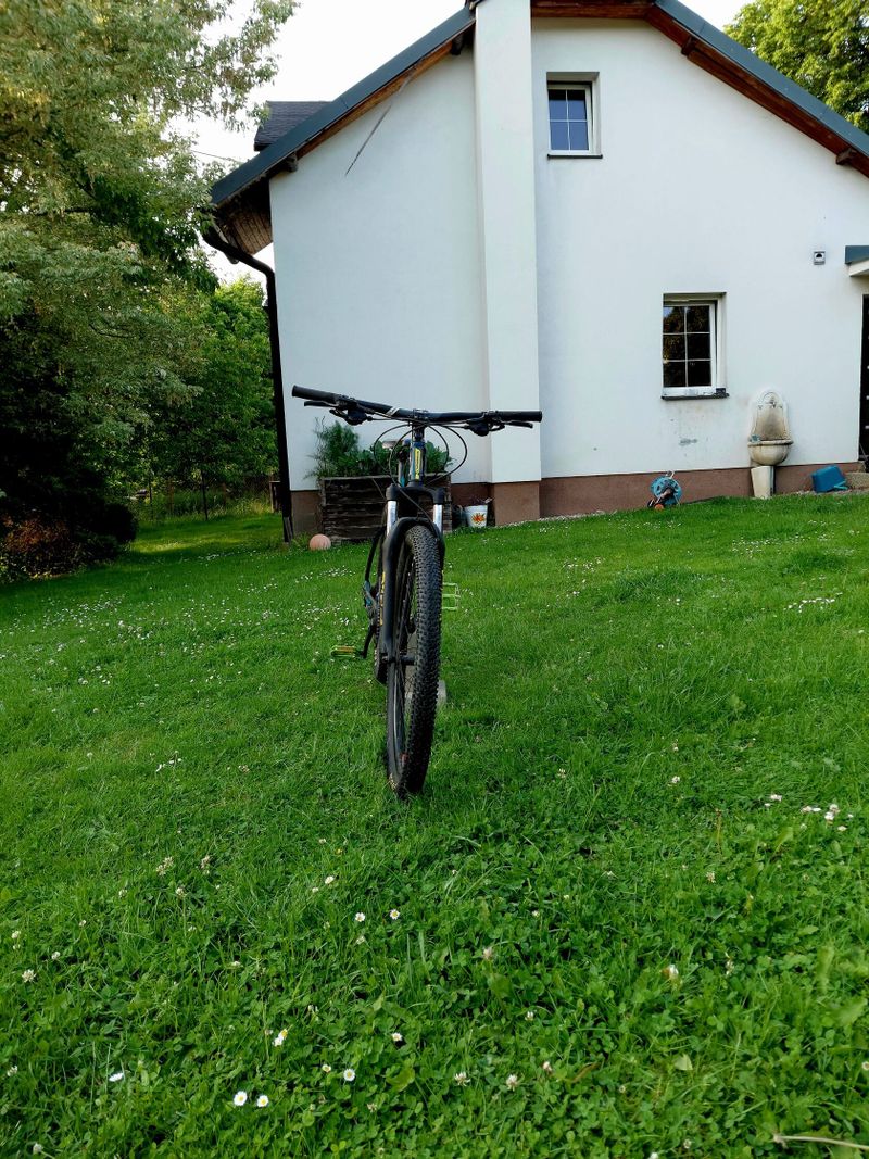 Orbea mx 50