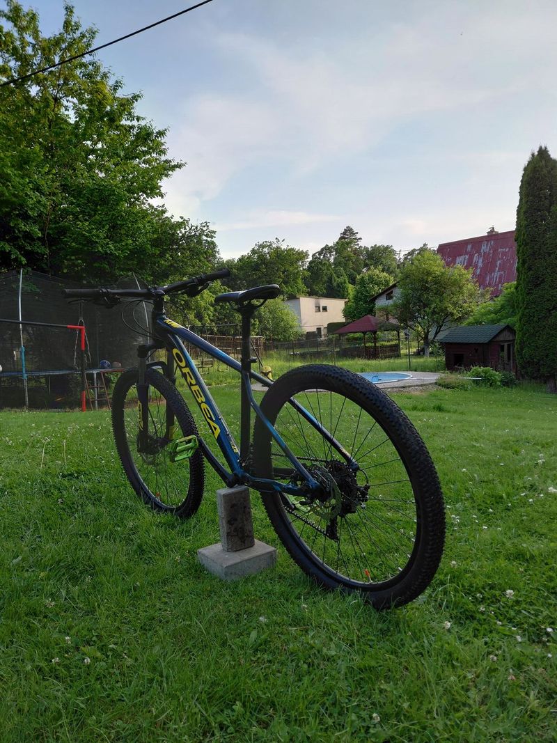 Orbea mx 50