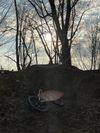DIRT CUSTOM 
