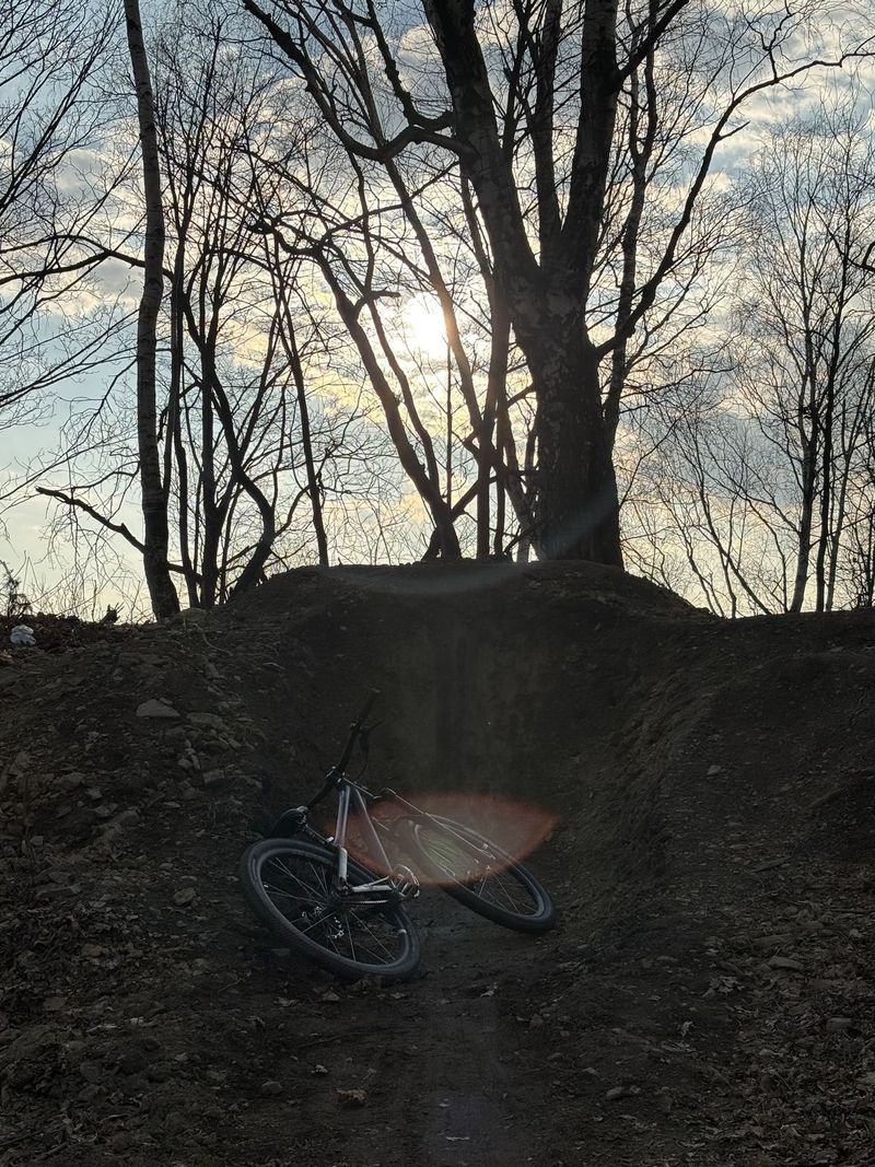 DIRT CUSTOM 