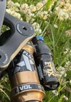 Ghost Trail CF Pro Fox Kashima Full Party