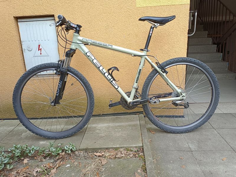 Kolo - MTB Pells 26"