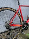 KELLYS ARC50