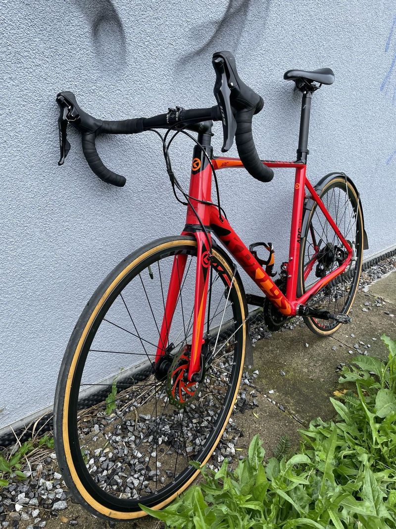 KELLYS ARC50