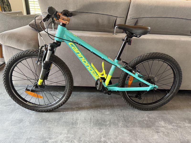 Krásný Cannondale Trail 20”