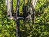 Focus - Black Forest 27,5