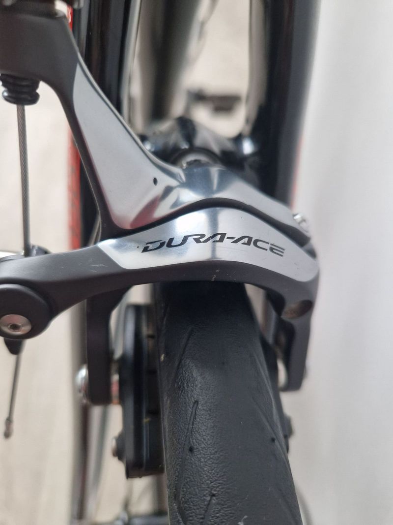 FOCUS CAYO