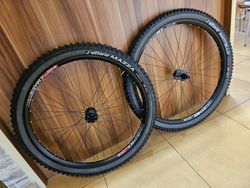 DT Swiss XM481 + DT 350 (18z/IS/HG,XD)