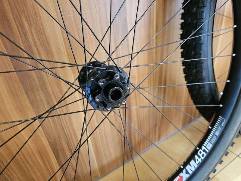 DT Swiss XM481 + DT 350 (18z/IS/HG,XD)