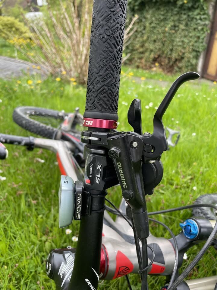 Trek Remedy 8