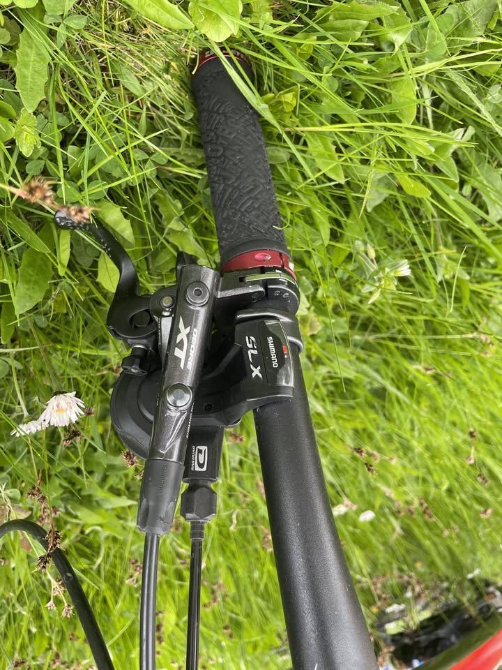 Trek Remedy 8