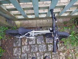 Early rider Belter
