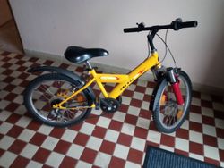 Velamos 20"