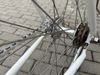 Fixie/singlespeed