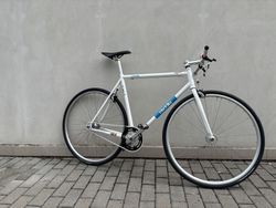 Fixie/singlespeed