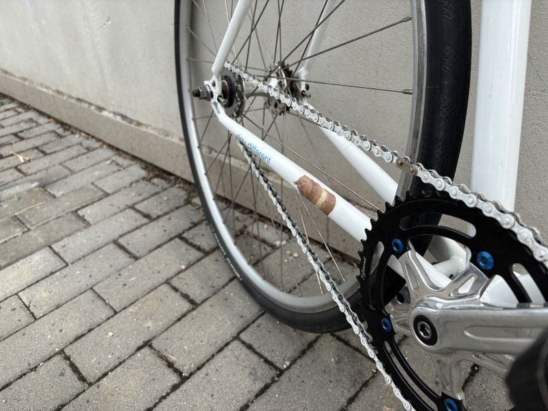 Fixie/singlespeed