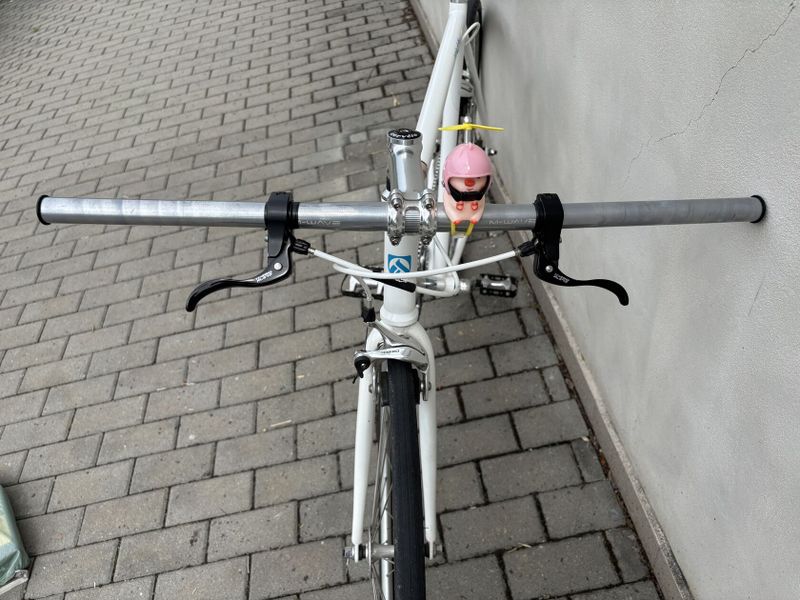 Fixie/singlespeed