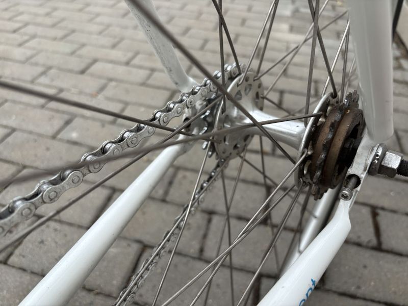 Fixie/singlespeed
