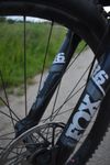 Canyon spectral al5