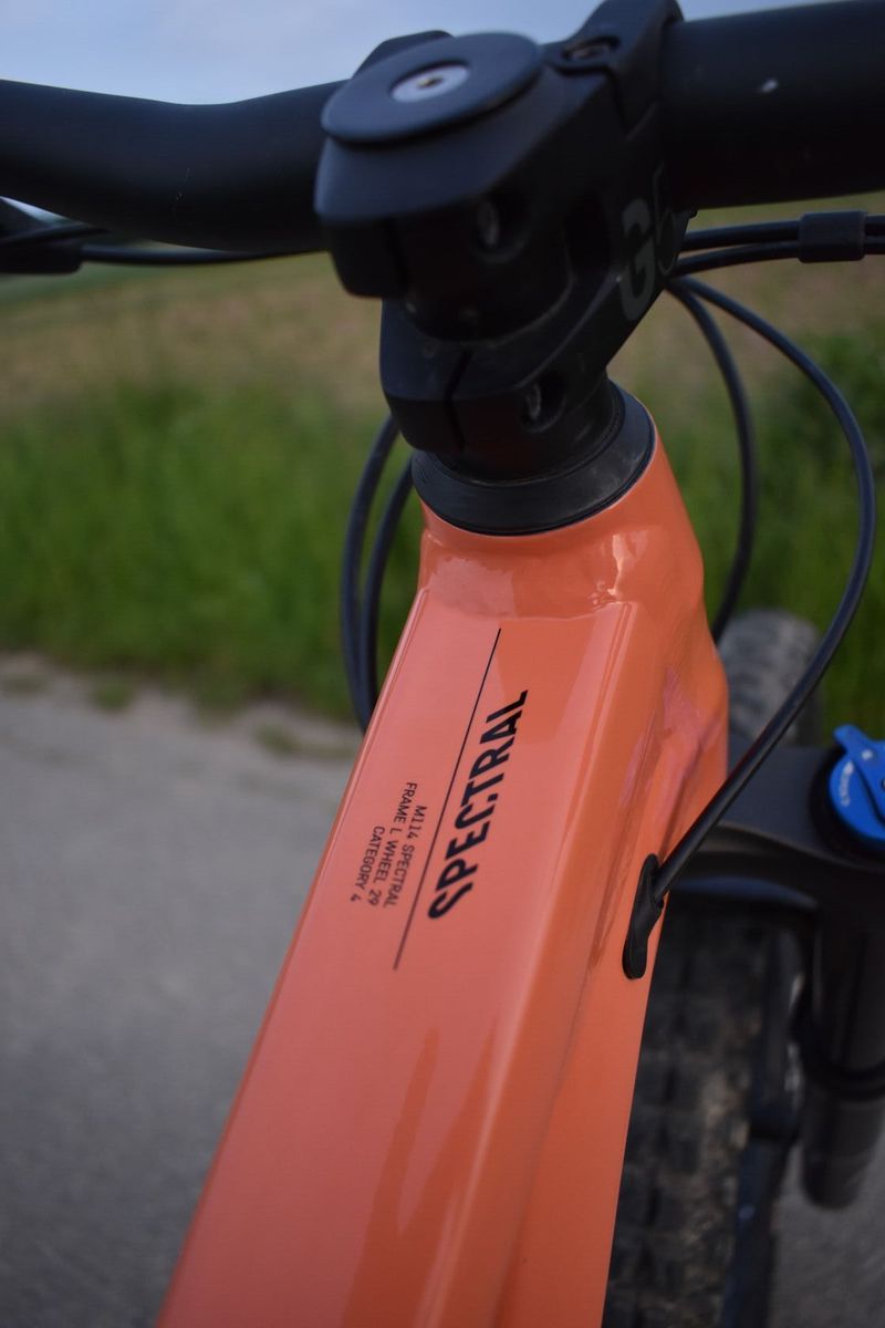 Canyon spectral al5