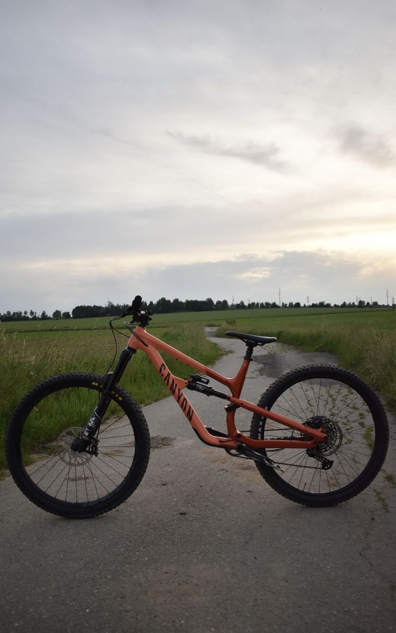Canyon spectral al5