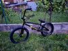 BMX Tall Order