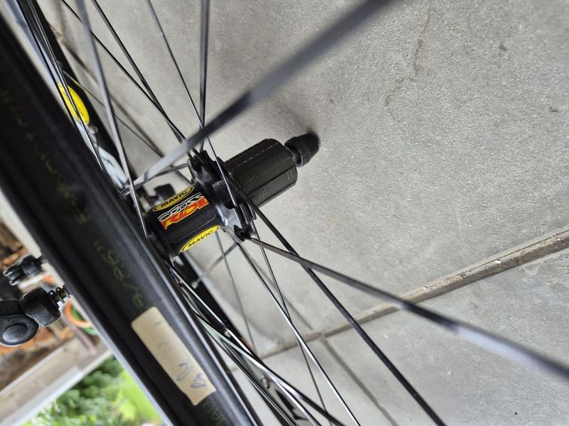 Kola Mavic Crossride 26"