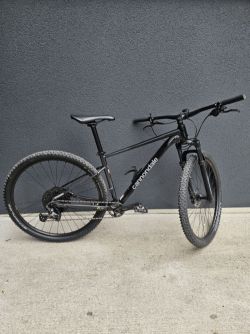 Cannondale Trail 29 SL 3 BPV (2023)