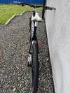 MTB Focus Raven 29R