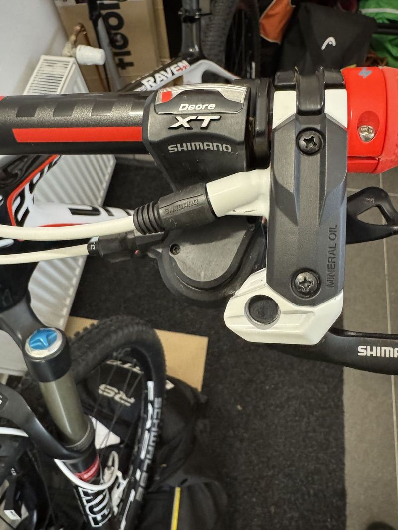 MTB Focus Raven 29R