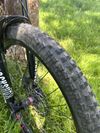 Kellys noid 70