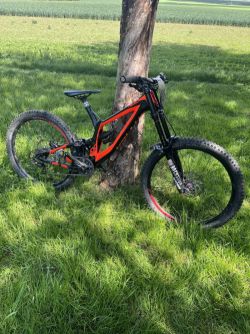 Kellys noid 70