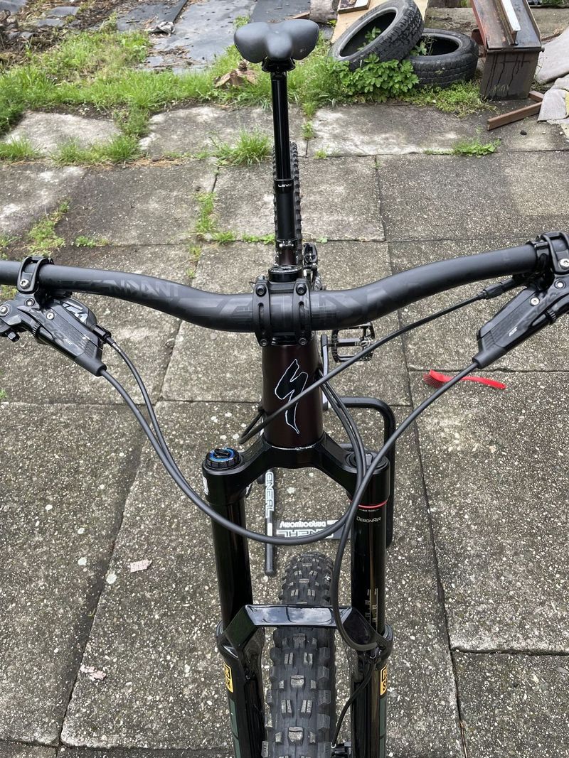 SPECIALIZED STUMPJUMPER EVO 