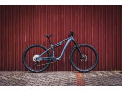PELLS Tarpan TR 3